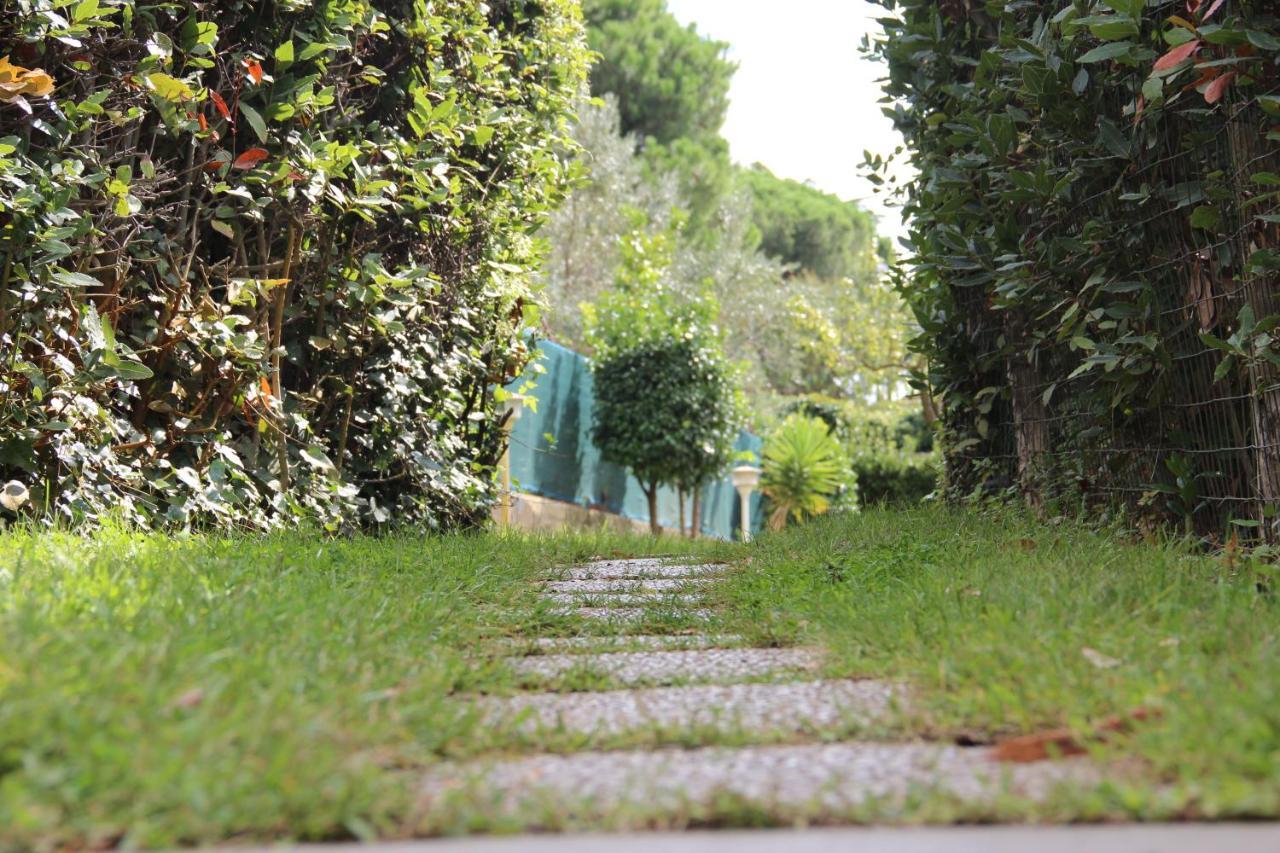 Villino Fiorella Ciampino Exteriör bild