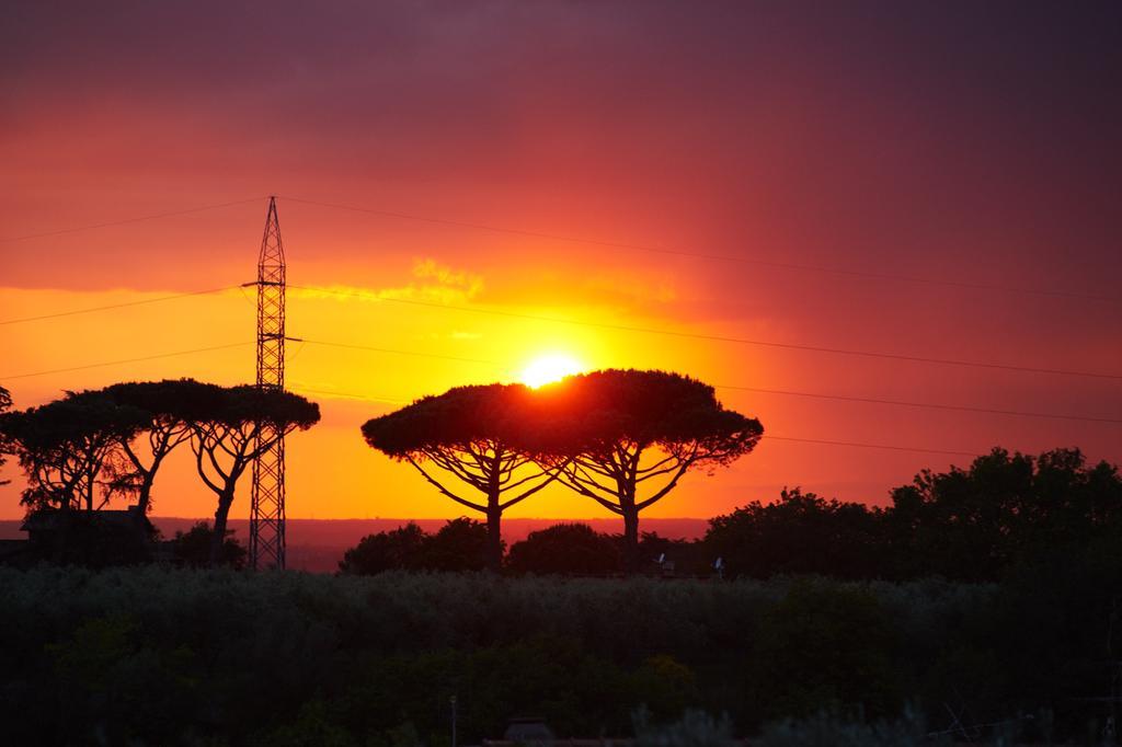 Villino Fiorella Ciampino Exteriör bild